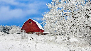 red painted house in the mountain during winter season